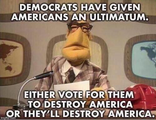 IMG_20251108_104927_435