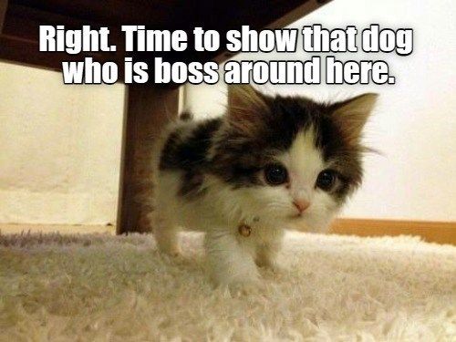 3f28041fb6609a1bec5f54a6ecd20c5f