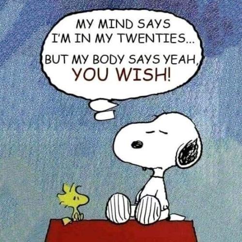 bfe327d568b618a5d5d9bd5a13eba659