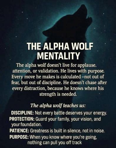 112125 - Alpha Wolf