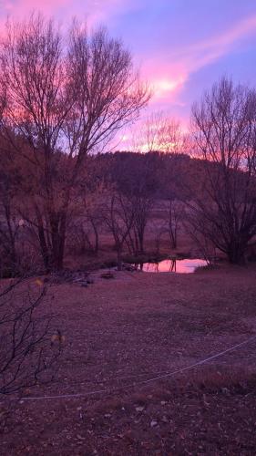 FB_IMG_1762829405129