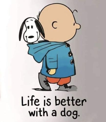 142255f40dab2b0f4c34100ba46605f1