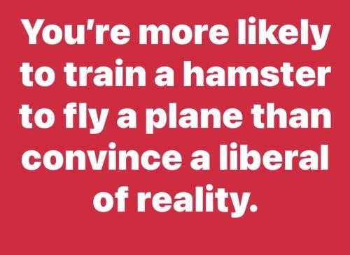 4d798e306e5b8bd57d20af0e03c92127