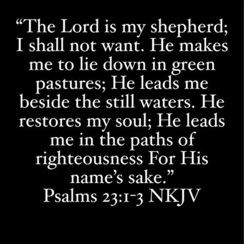 IMG_20251127_184315_897