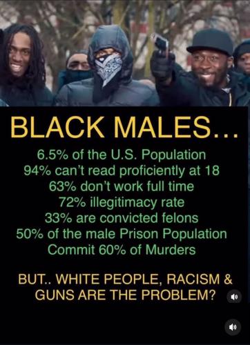 IMG_20251121_034631_025