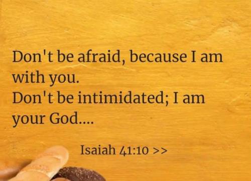 IMG_20251127_184106_117