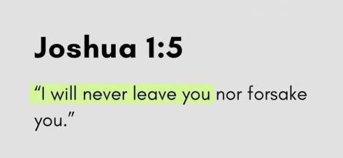 IMG_20251101_171233_536