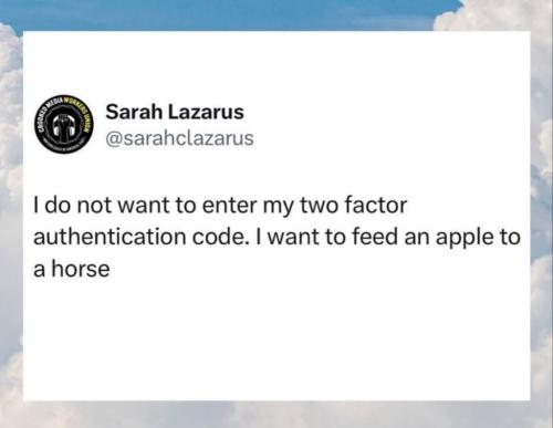 photo_2025-11-17_11-21-47