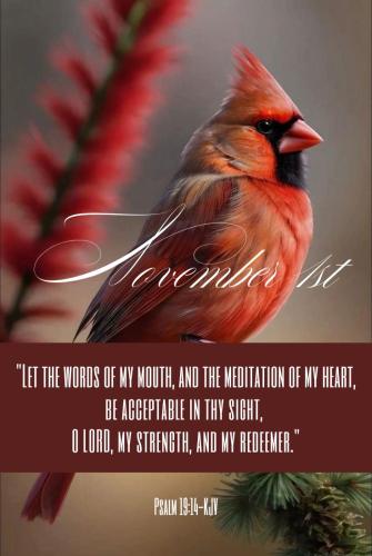 574339061_844711618063186_7123171152122109999_n