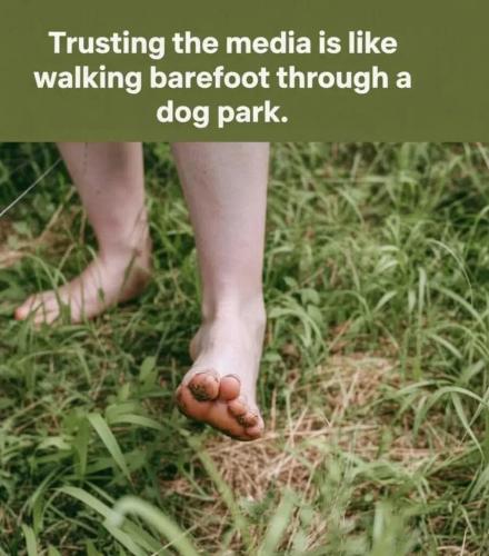 walking barefoot-thru-dogpark