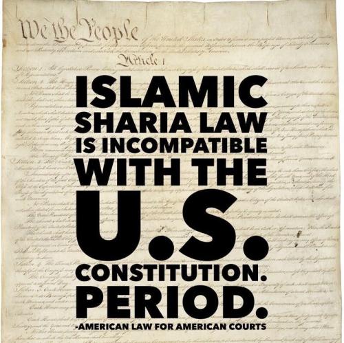 84dcffe3-b31f-4553-9e81-1197ae859229