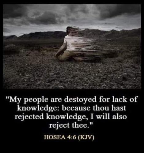 IMG_20251101_171714_650