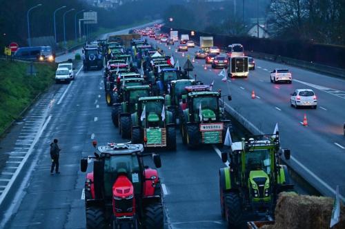 FB_IMG_1763402486881