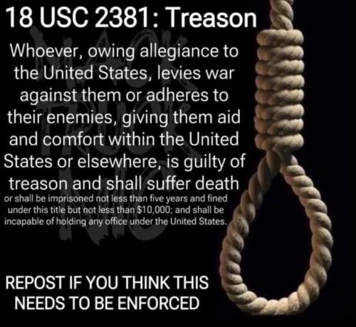 Treason rope