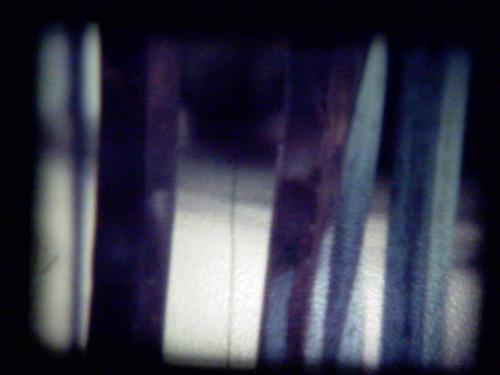 resurection cemetary 4