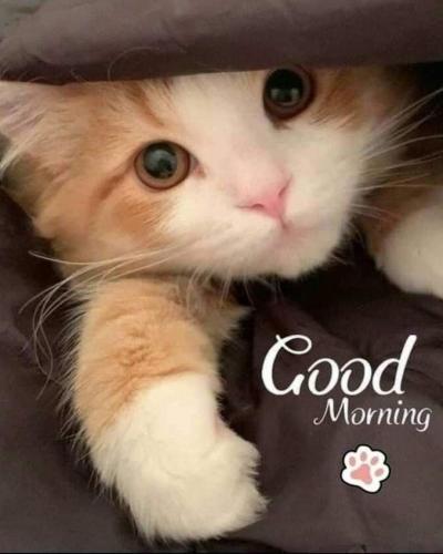 72b970ff3a5499193803cb1203cd79b4