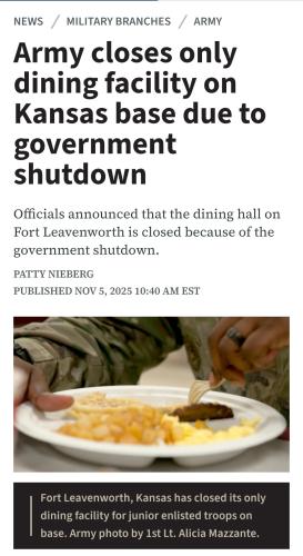 Screenshot_20251106_094956_Chrome(1)