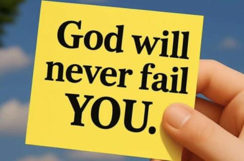 IMG_20251121_193649_419