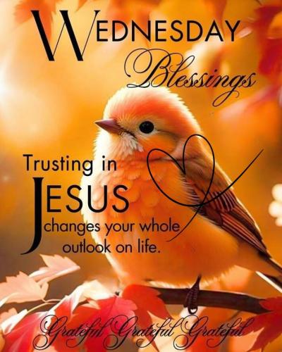 589622060_864415352759479_459594230982756935_n