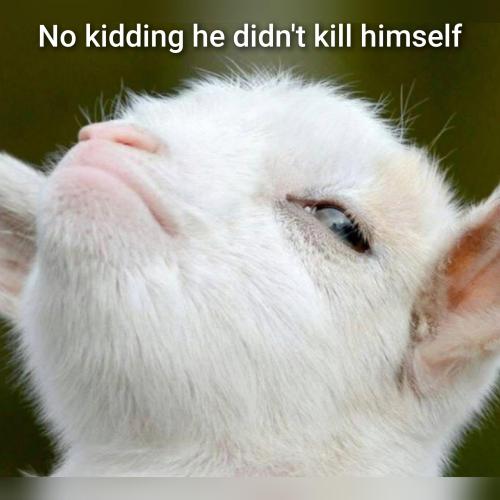 GridArt_20251121_141314659