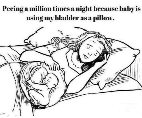 7957b4c1b3bb3ef35410ad43065b57e6