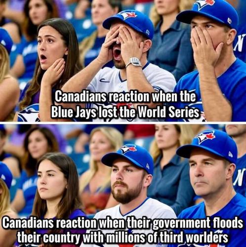 IMG_20251103_134534_090