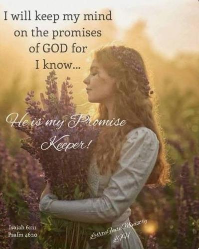 cc369217ef613d17399052c524cda2fa