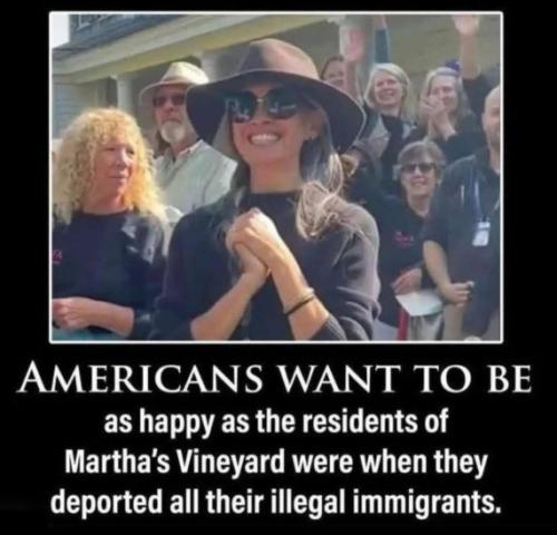 illegal immigration522