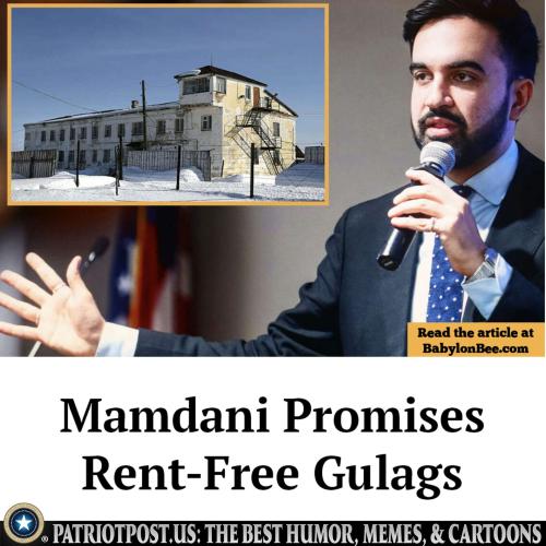 01K997DYZ4WSW990NBYKKT9SE7