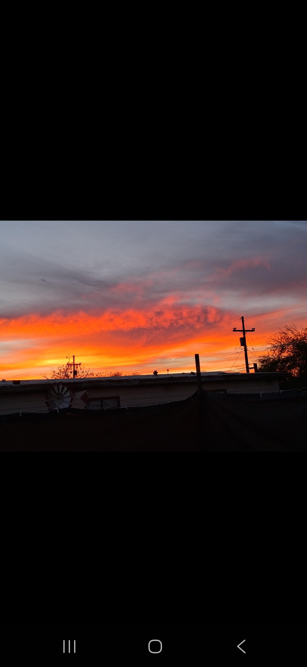 Screenshot_20251115_175249_Wimkin Free Speech Social Media