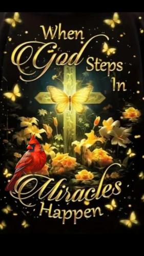 578785559_857688470071030_2352518503495421529_n