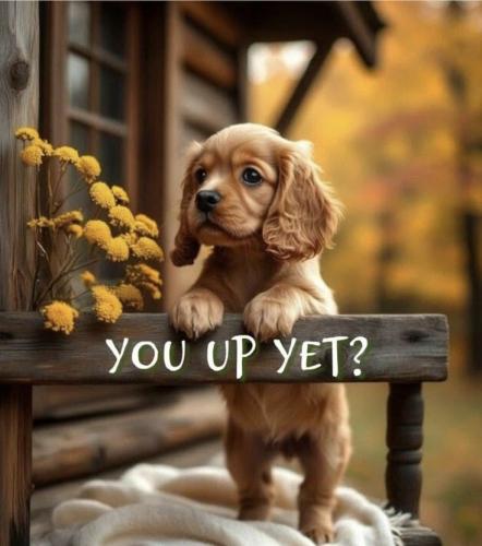 a2fb8037e97d69dc0c873016f440f00d