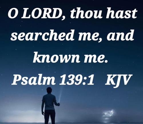 918e006a-4e75-474c-9e75-0a1456e84cd4