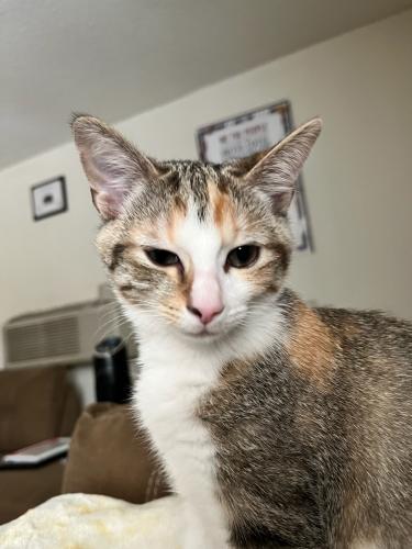 D2F80AA9-093C-4F8E-9D4A-1CE3F55B698D