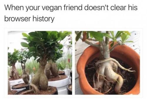 vegan-doesn't-clear-history