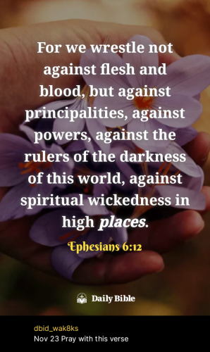 2025-11-231763925867805