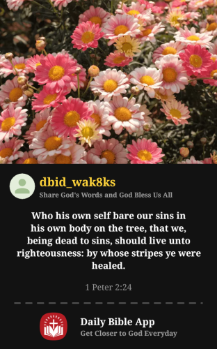 2025-11-231763925981161