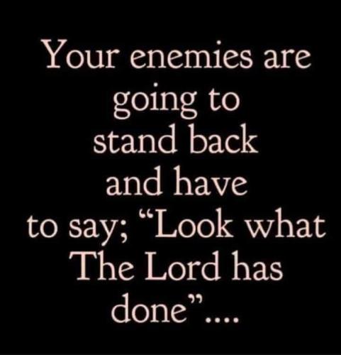 IMG_20251122_195647_006