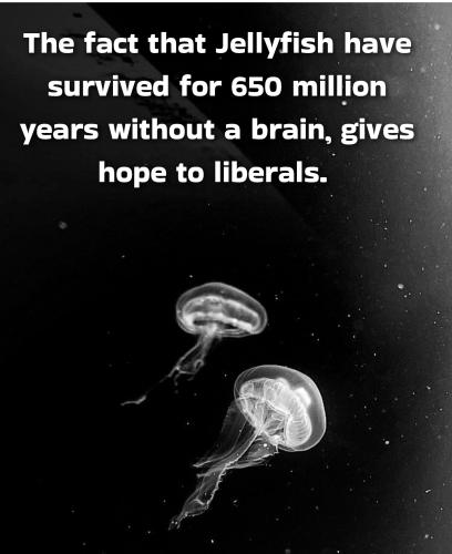 GridArt_20250928_214100090