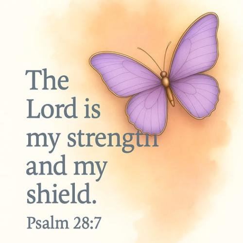 577809018_25253165827629163_5873424241467957211_n