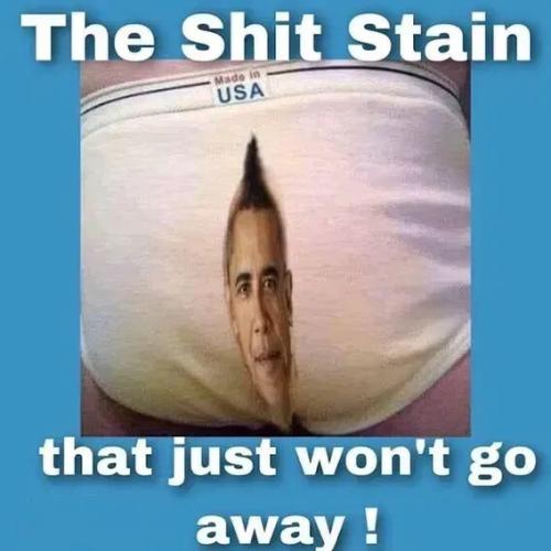 shit-stain