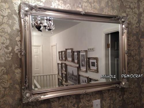 mirror-asshole-democrat