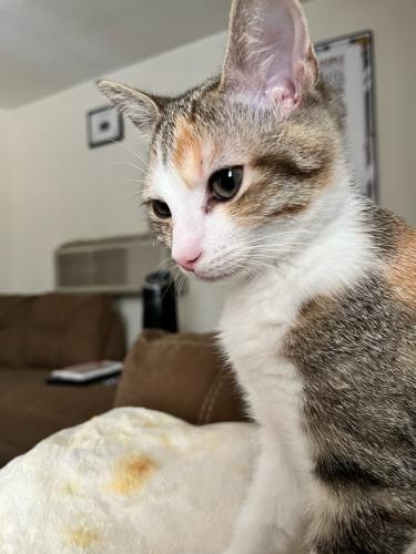 94B13A35-7E39-4ACD-978B-8E861F9582BC