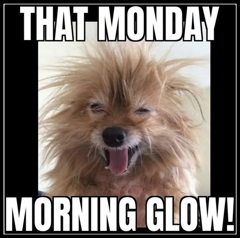 d051fc843e330bcaffe60d7484dd9ff4