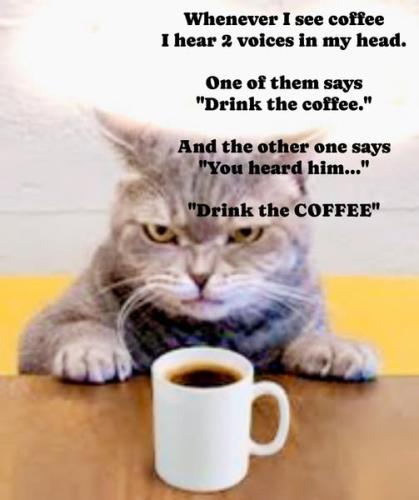 574569082_10213767472538222_6558063953084801449_n