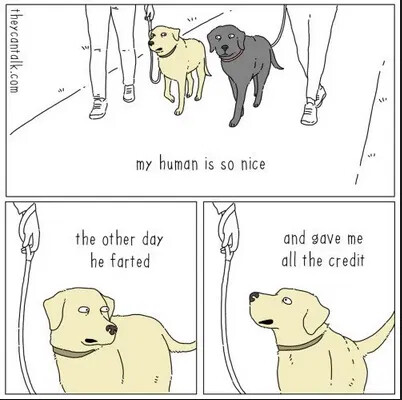human-farted-gave-me-credit