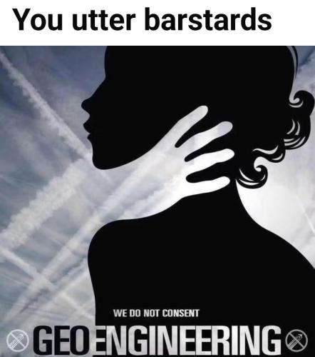 941e719f-02db-4fa9-9018-24d802ad58ae