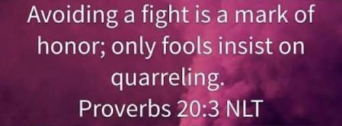 IMG_20251127_183659_272