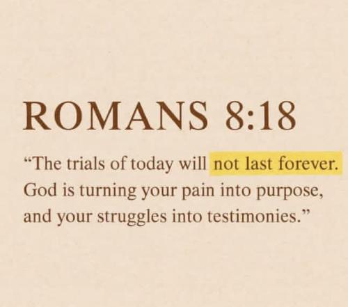 IMG_20251121_193609_304