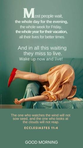 9e49d9632d038791196a38e33ee074b0